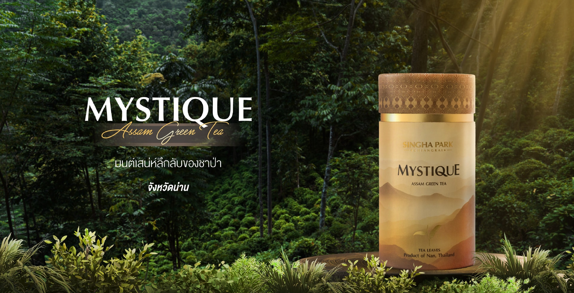 MYSTIQUE Assam Green Tea. The Mysterious charm of Wild Tea Nan, Thailand.