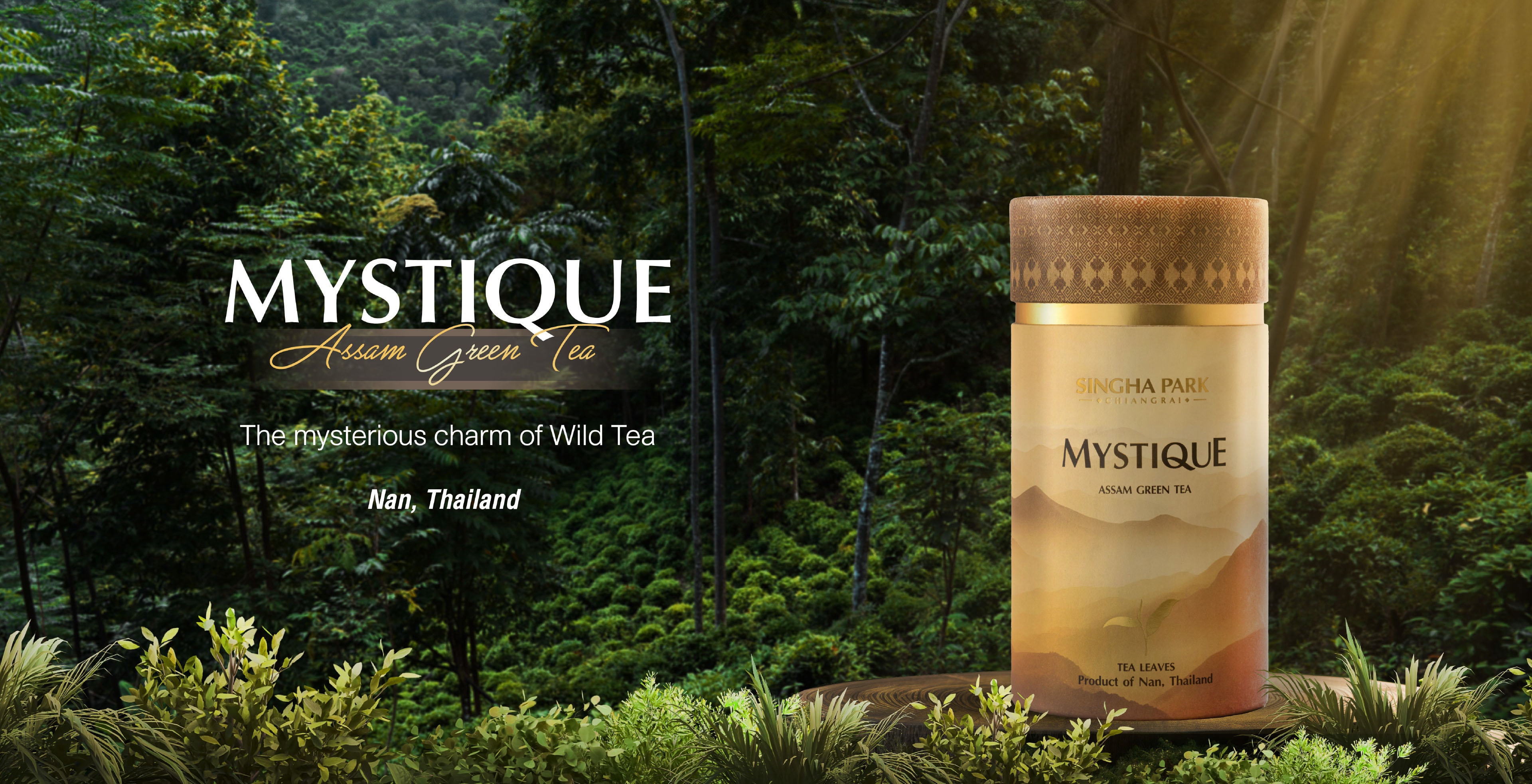 MYSTIQUE Assam Green Tea. The Mysterious charm of Wild Tea Nan, Thailand.
