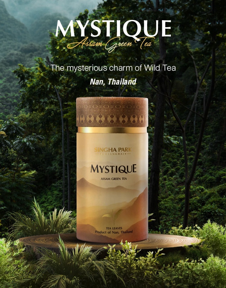 MYSTIQUE Assam Green Tea. The Mysterious charm of Wild Tea Nan, Thailand.