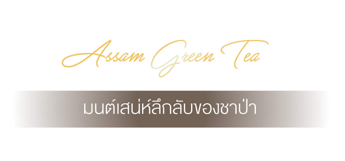 MYSTIQUE Assam Green Tea มนต์เสน่ห์ลึกลับของชาป่า จังหวัดน่าน