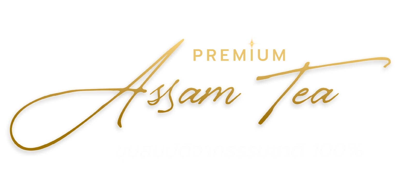 Premium Assam Tea ขุมสมบัติจากธรรมชาติ 100%