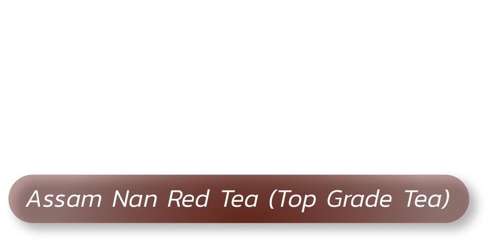 Red Tea : Assam Nan Red Tea (Top Grade Tea)