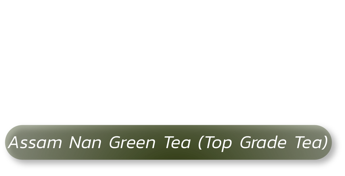 Green Tea : Assam Nan Green Tea (Top Grade Tea)