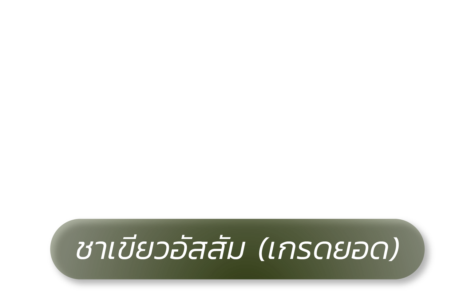 Green Tea ชาเขียวอัสสัม (เกรดยอด)